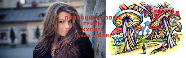 PSILOCYBIN Медвежьегорск
