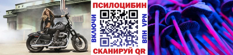 Псилоцибиновые грибы GOLDEN TEACHER  Мценск 