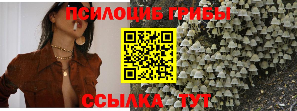 даркнет сайт  Вход с VPN  Мценск  Галлюциногенные грибы GOLDEN TEACHER 