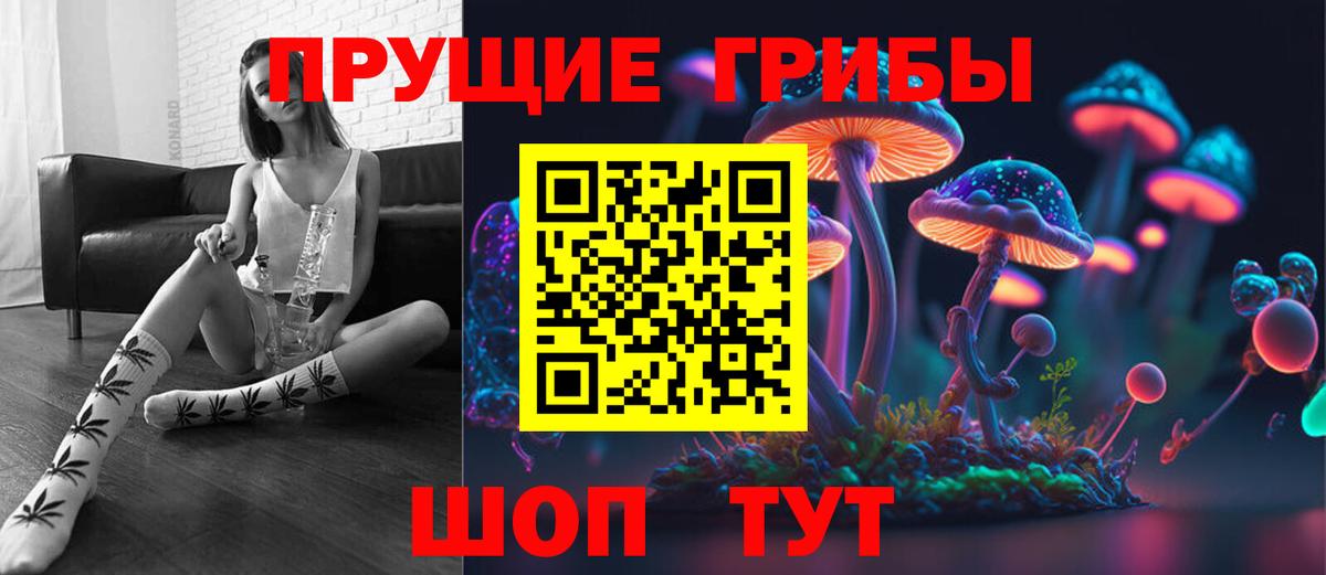 Псилоцибиновые грибы Psilocybine cubensis Мценск